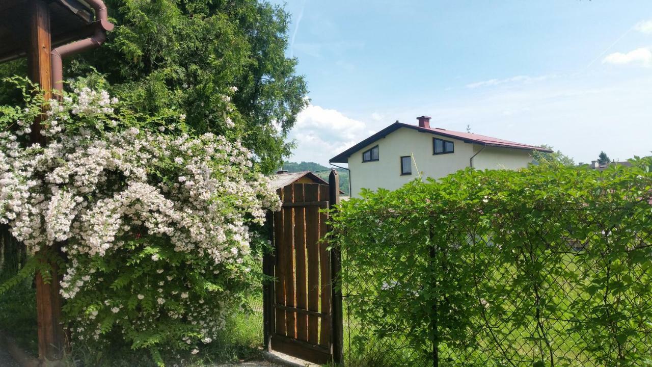 Swinna - Brzozowy Zagajnik Экстерьер фото