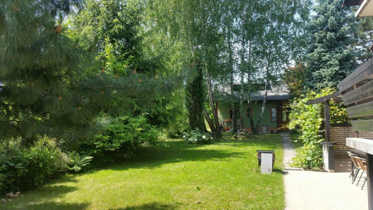 Swinna - Brzozowy Zagajnik Экстерьер фото