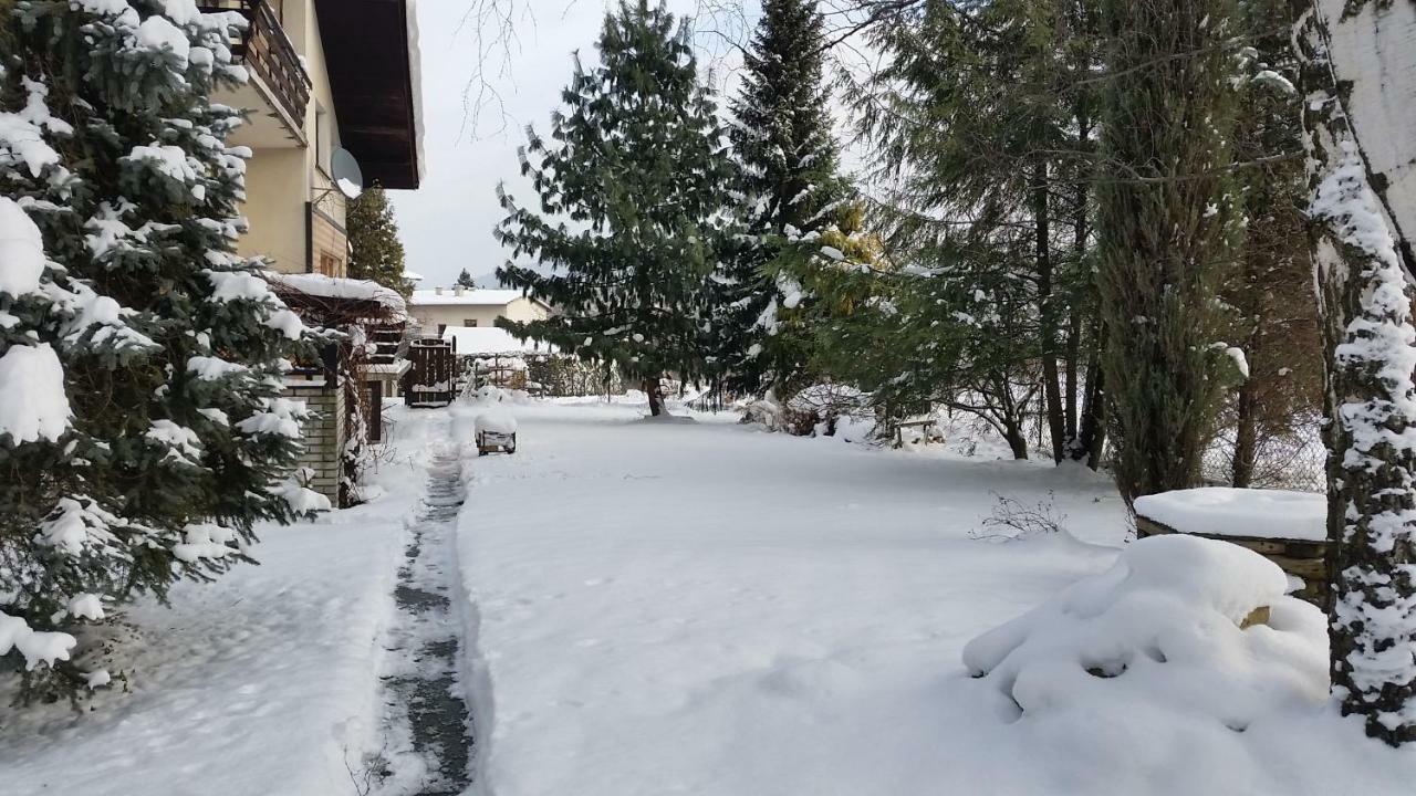 Swinna - Brzozowy Zagajnik Экстерьер фото